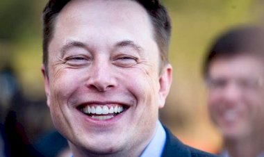 Elon Musk nunca investiu um centavo no Brasil